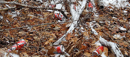 Beer cans in Winter down on Hoffman Road
