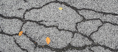 Leaves on cracked pavement Leaves on cracked pavement