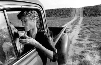 Larry Towell, The Pear, Lambton County, Ontario, Canada. 1983
