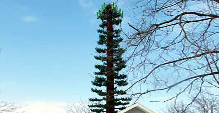 Cell tower disguised as a tree in Fairport, New York.