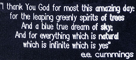 Magnolias in Durand Eastman Park