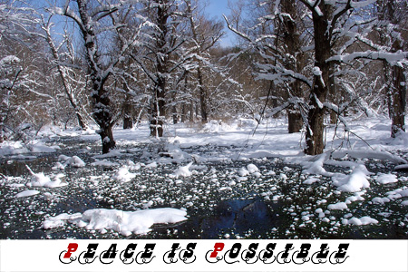 Xmas card 2007 reprise