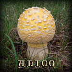 Margaret Explosion - Alice