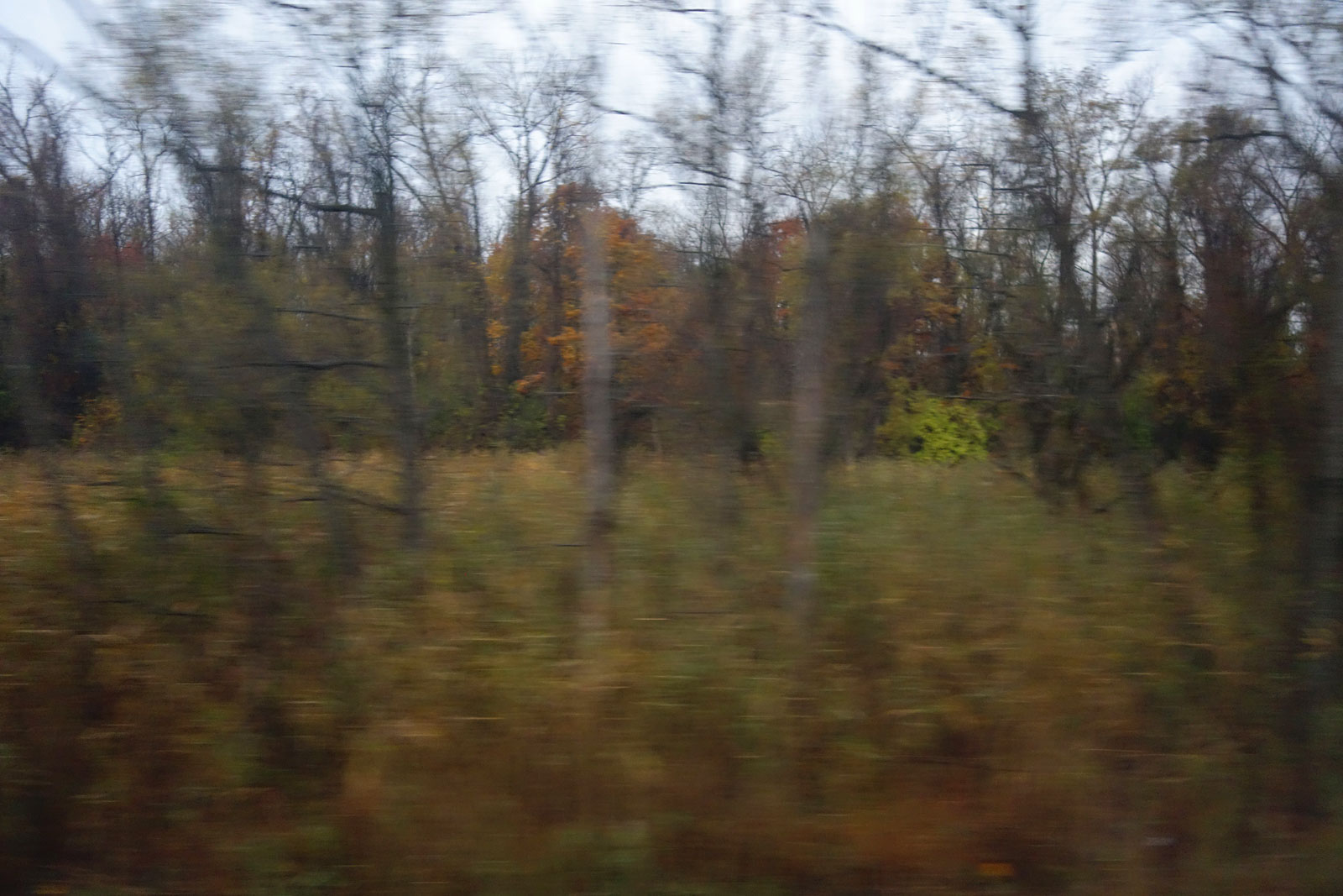 Blurry Autumn trees from train