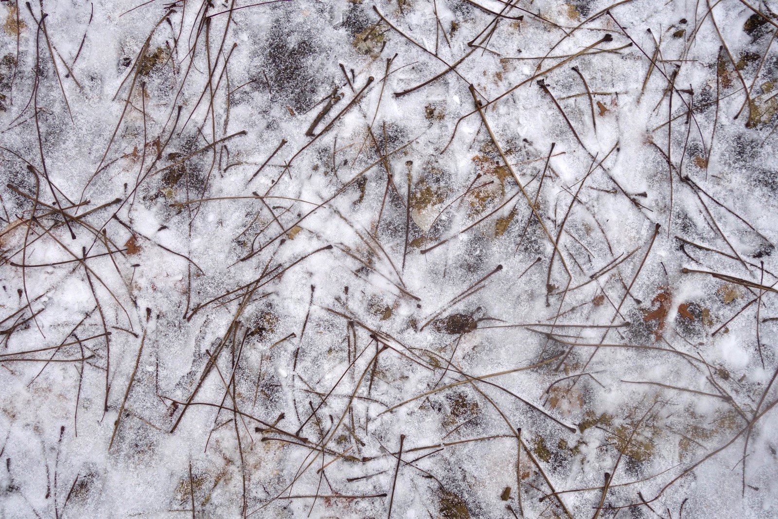 Twigs drawing on pavement with snow