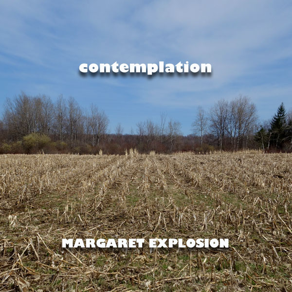 "Contemplation" by Margaret Explosion. Recorded live at the Little Theatre on 04.30.14. Peggi Fournier - sax, Ken Frank - bass, Bob Martin - guitar, Jack Schaefer - bass clarinet, Paul Dodd - drums.