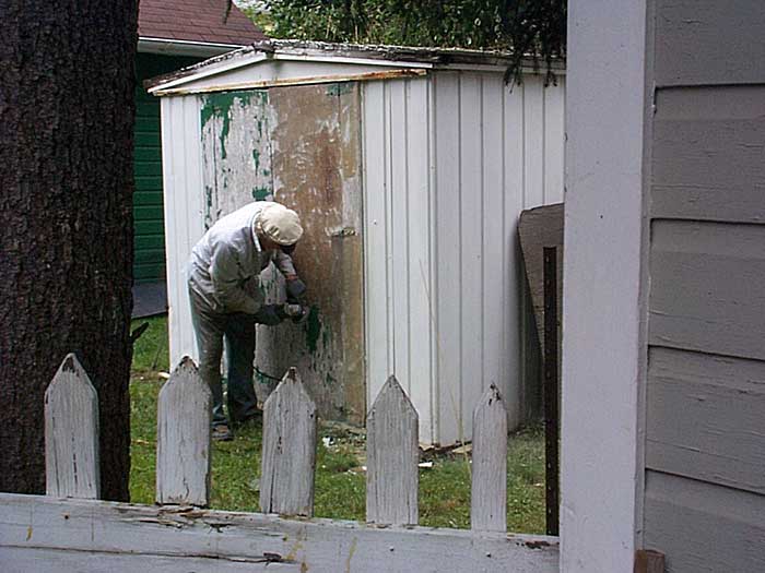 Sparky preparing the shed door for a new coat of paint.