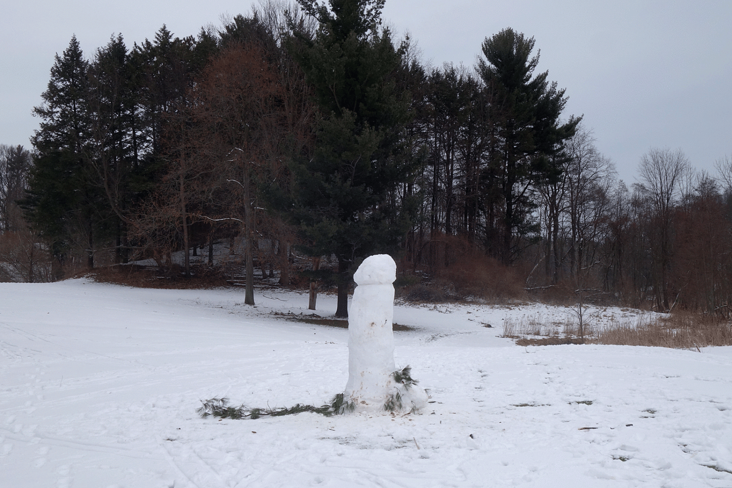Rude snowman on Durand Eastman golf course