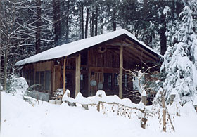 Shelley and Pete's handmade home in the woods.