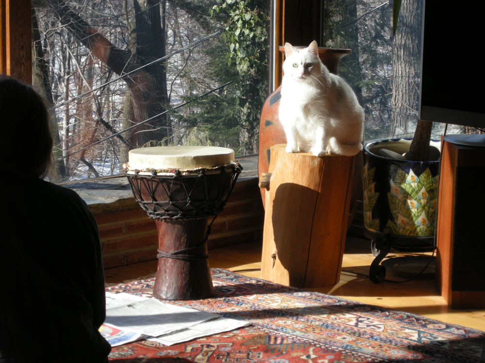 Stella in the sun