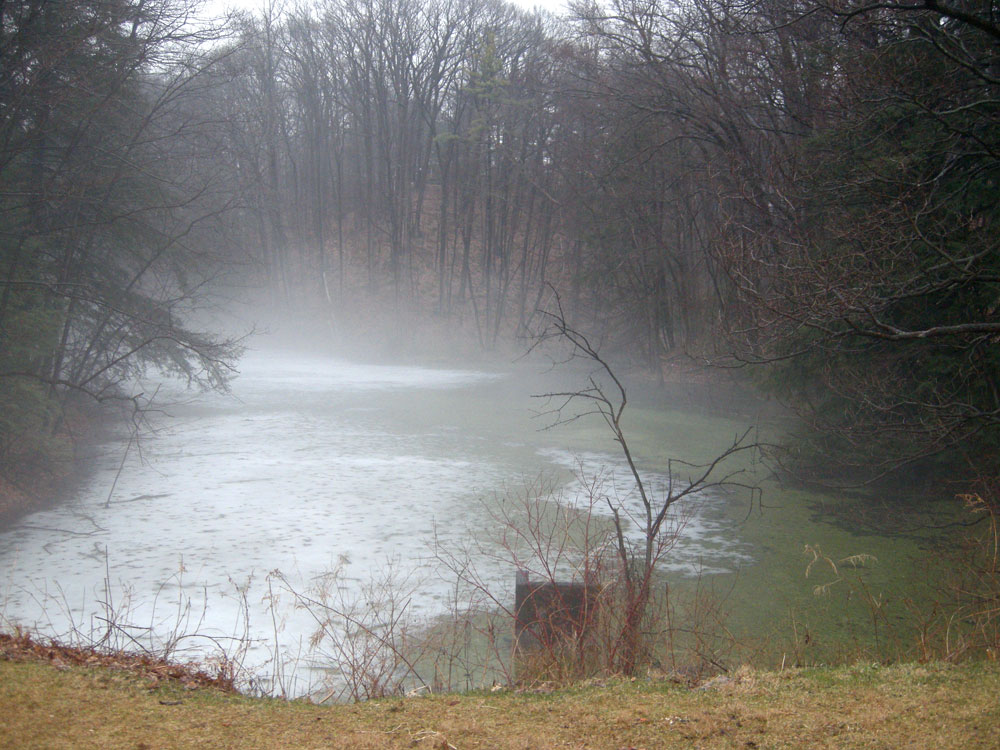 Mist on one of the ponds in Durand Eastman Park