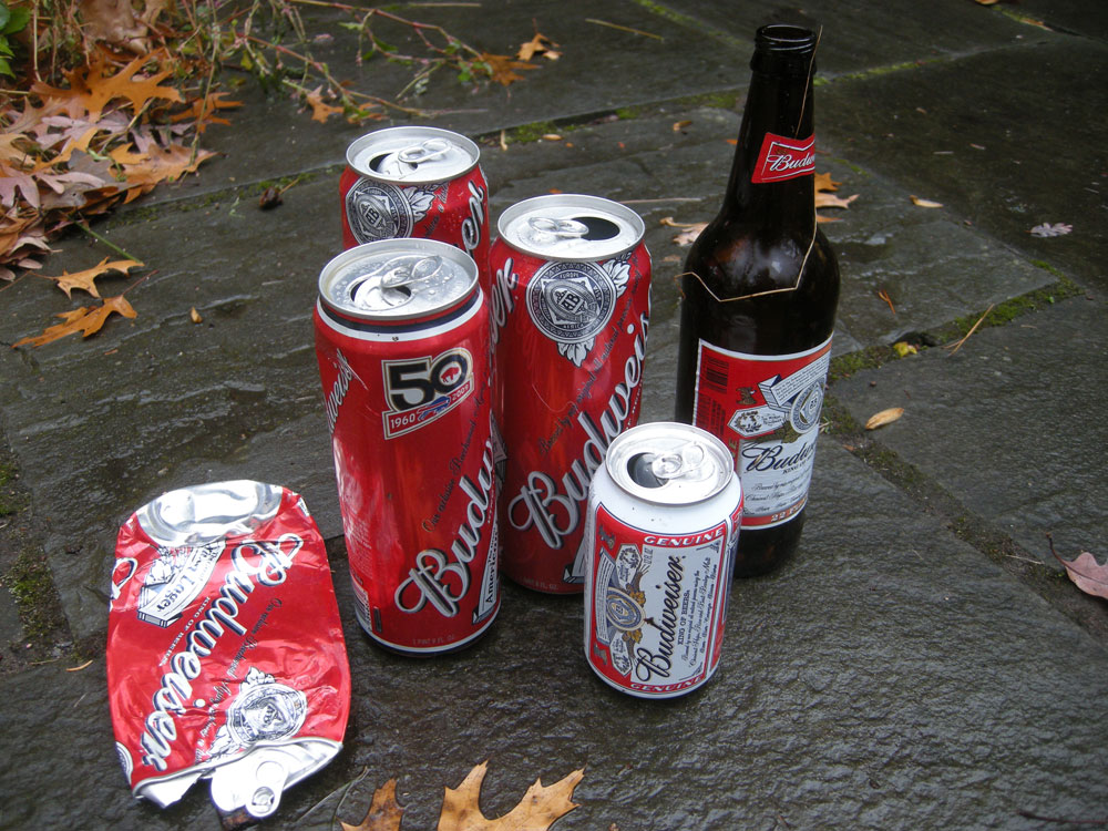 Budweiser cans and bottle found on Hoffman Road