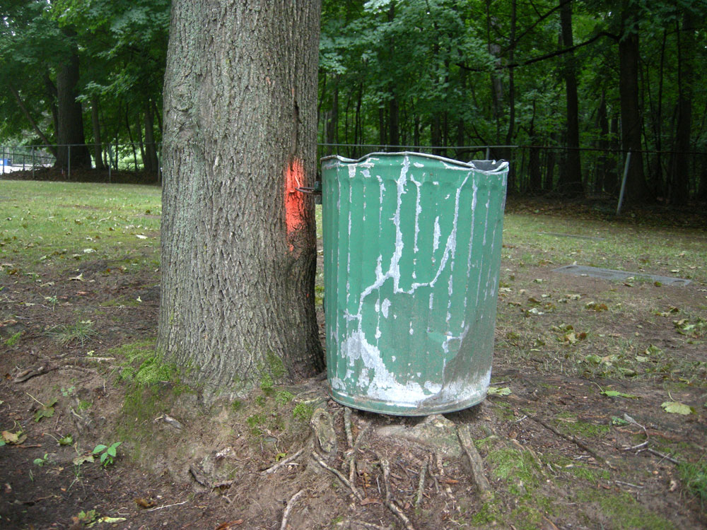 Trash can at the cemetery in Rochester New York