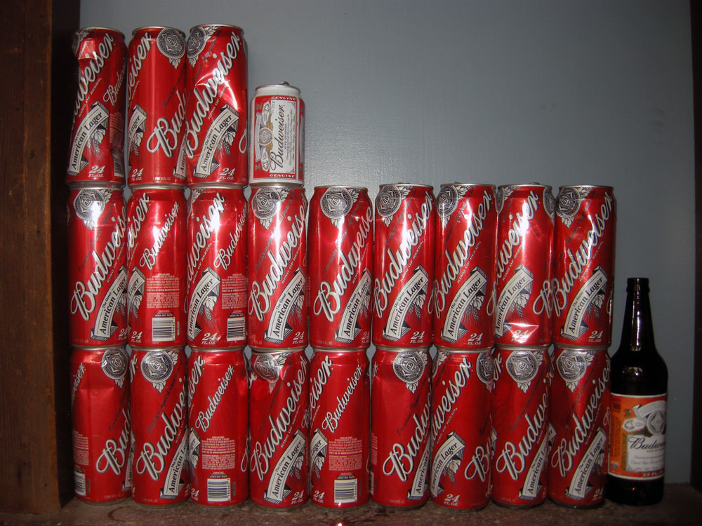 24 ounce cans of Budweiser found on Hoffman Road in Rochester, New York