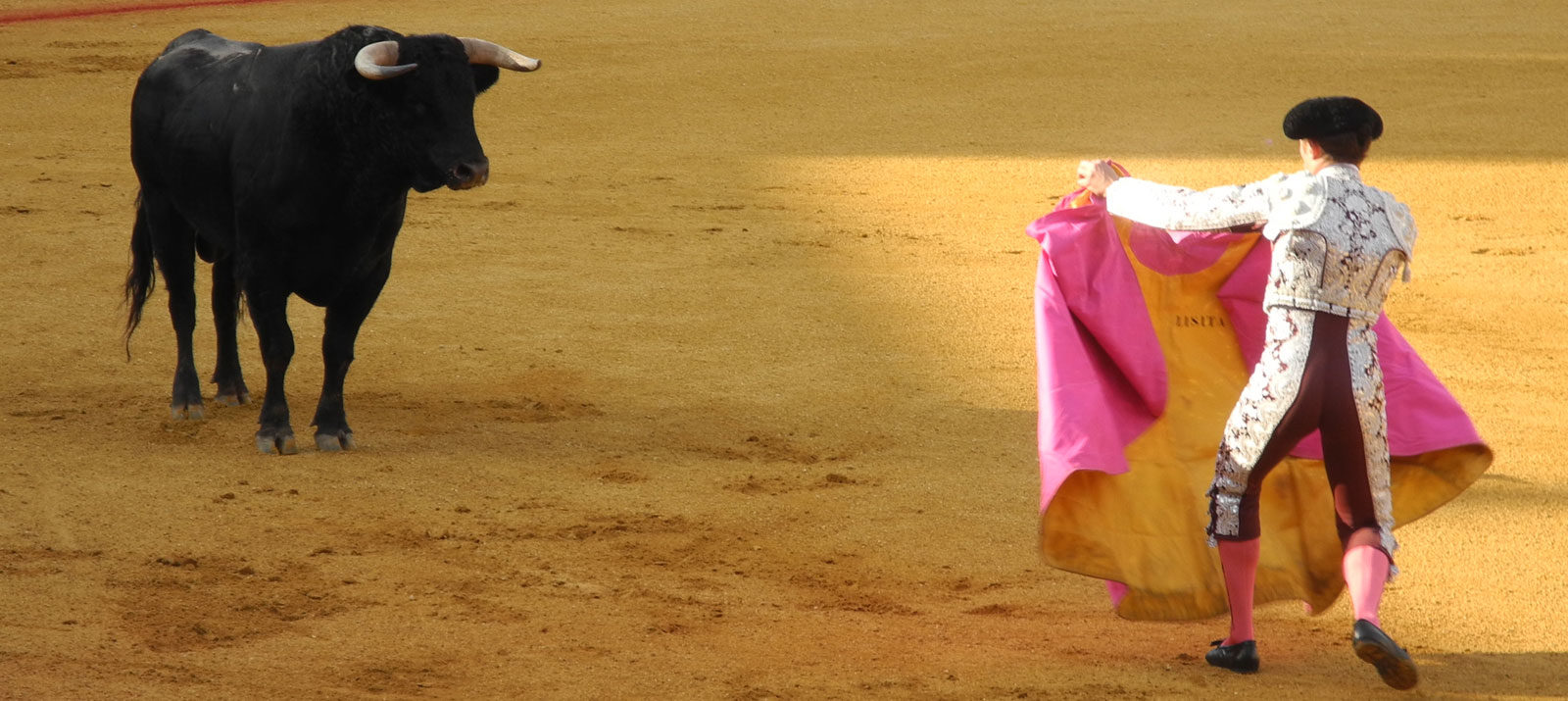 Bull and matador in Madrid
