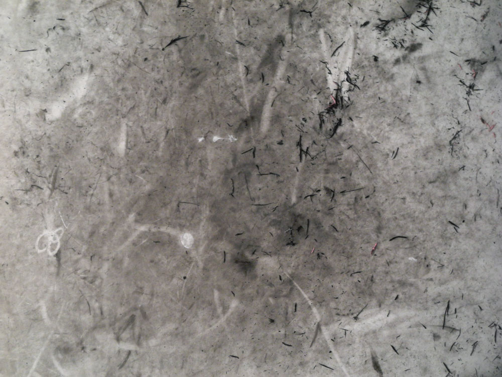 Charcoal scraps on work table