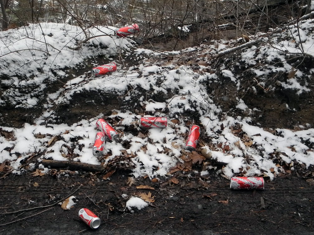 Budweiser cans on Hoffman Road in Rochester, New York