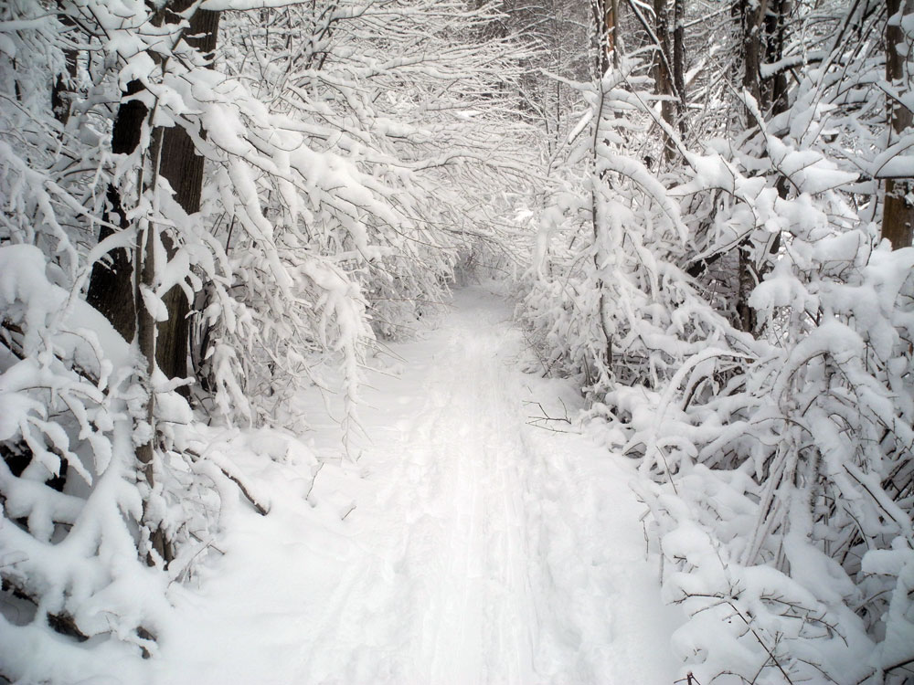 Snow covered path around Eastman Lake in Rochester, New York