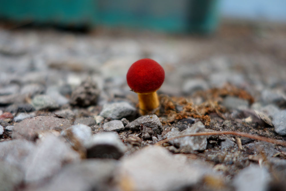 Tiny red mushroom in driveway