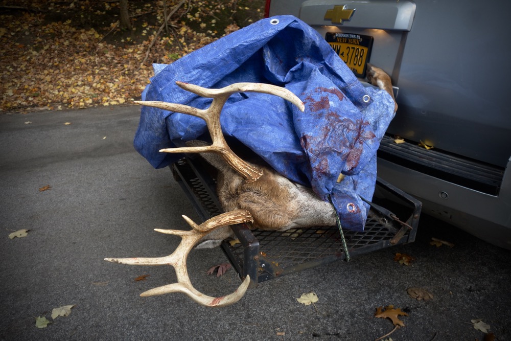 Steve Grieve with a buck on the back of his car