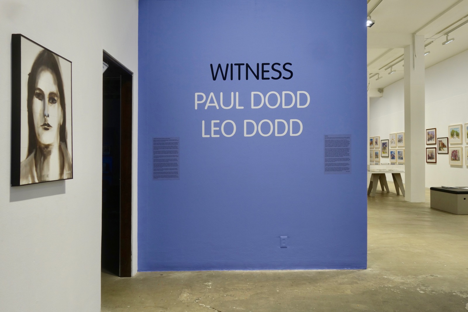 Installation view of "Witness - Paul Dodd, Leo Dodd" at Rochester Contemporary 2017