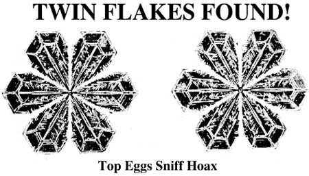 "Twin Flakes Found" postcard from Pete LaBonne