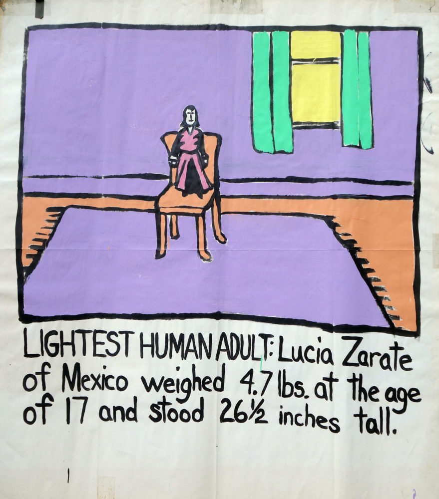 "Lightest Human Adult" Guinness World Record Holders by Paul Dodd. Paintings from 1989 Pyramid Arts Center show. Acrylic house paint on billboard paper, 54" wide by "60" high.