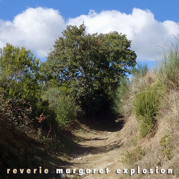 "Reverie" by Margaret Explosion. Recorded live at the Little Theatre Café on 03.13.19. Peggi Fournier - sax, Ken Frank - bass, Phil Marshall - guitar, Paul Dodd - drums.