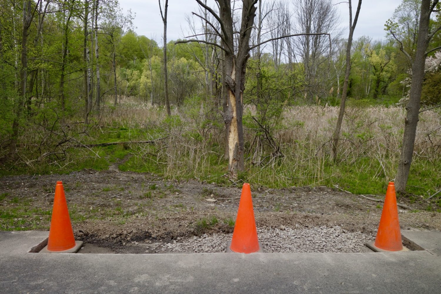 More town infrastructure work with orange cones on Hoffman Road