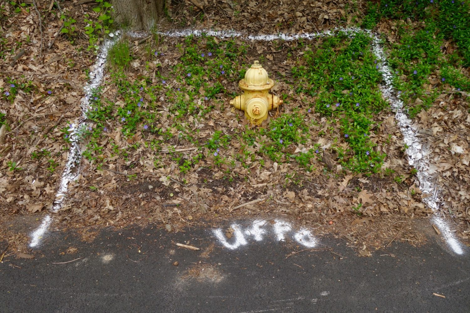 Town Infrastructure with spray paint in Hoffman Road