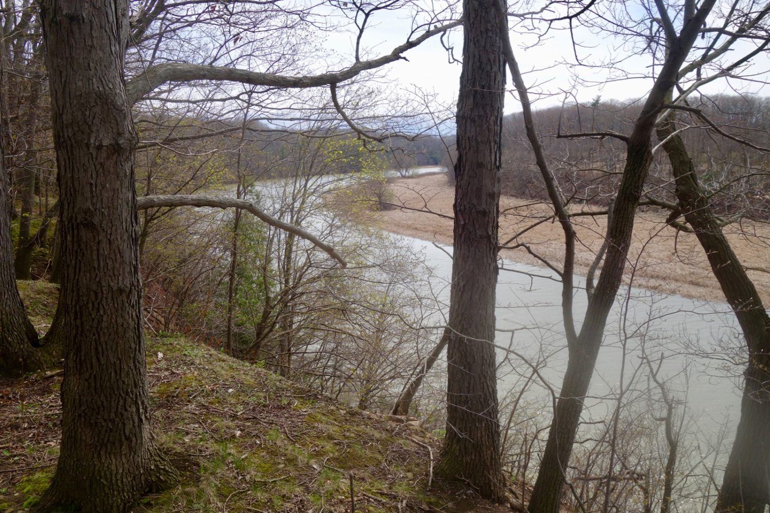 View from eastern side of Genesee River in Rochester, New York