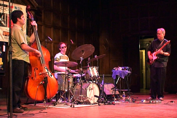 Bill Frisell performing at the 2007 Rochester International Jazz Festival
