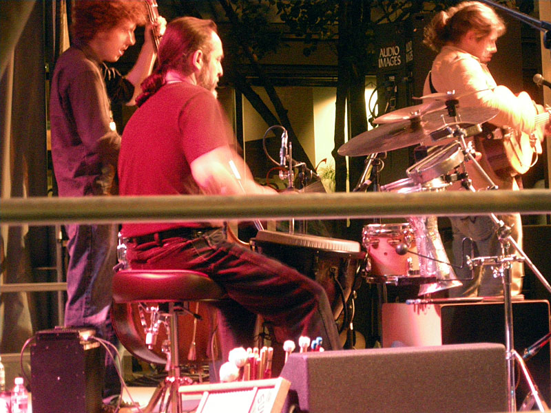 Stephane Wrembel Trio performing at the 2009 Rochester International Jazz Festival