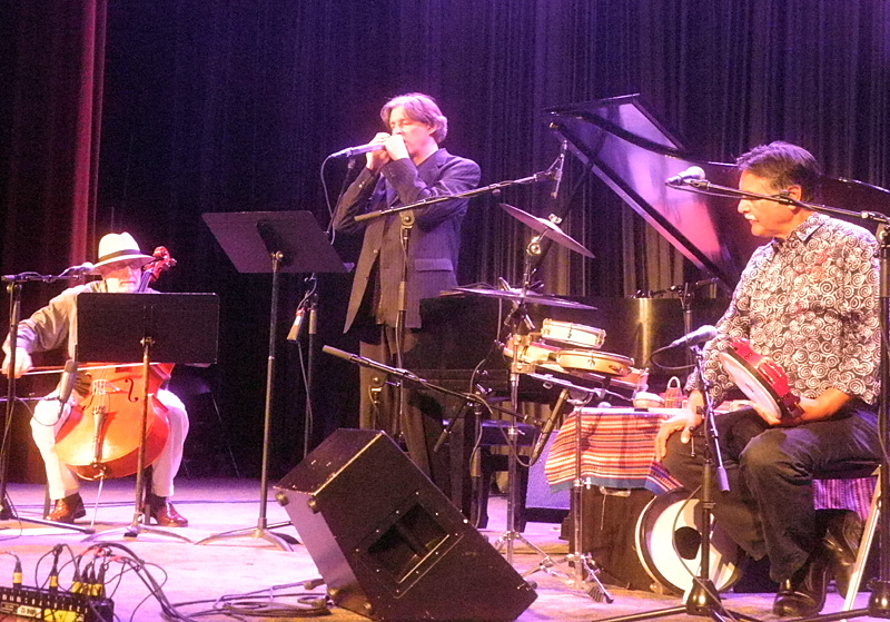 Trio Globo Howard Levy performing at the 2013 Rochester International Jazz Festival