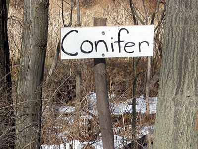 Conifer Road Sign