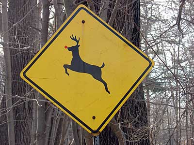 Deer Crossing sign