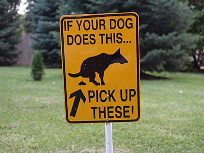 Dog Shit Sign