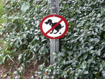 Dog Shit Sign 
