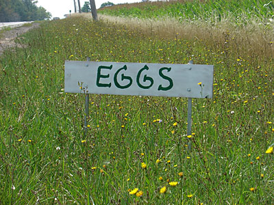 Eggs Sign