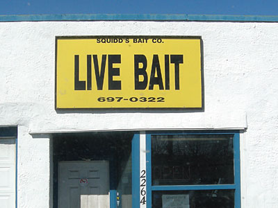 Live Bait sign