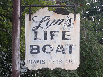 Lyn's Life Boat