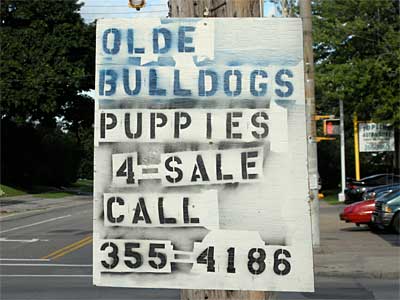 Olde Bulldogs sign