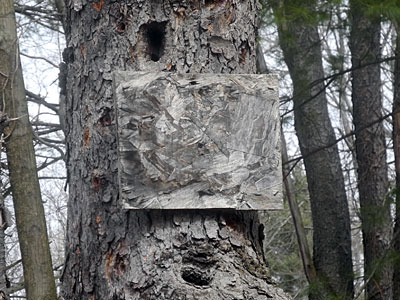 Camouflaged Sign