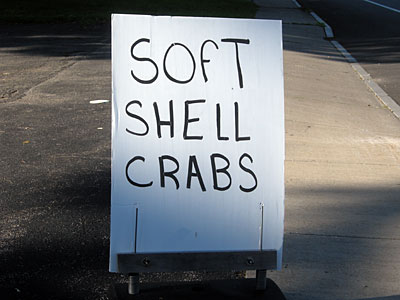 Soft Shell Crabs sign