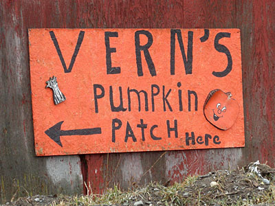 Vern's Pumpkin Patch