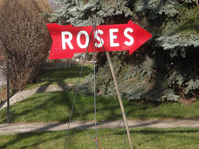Roses sign