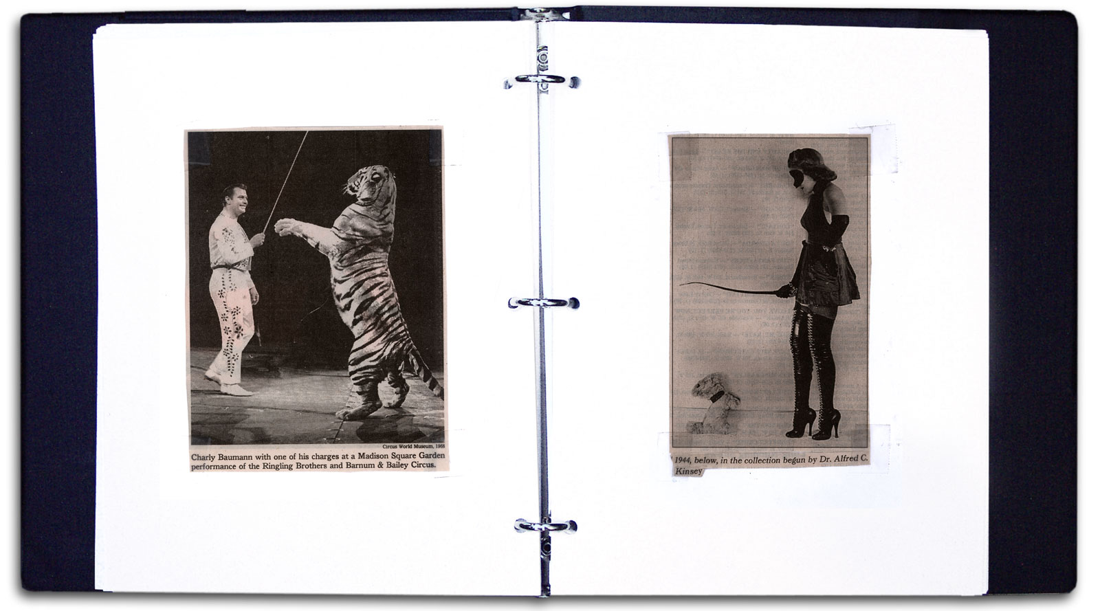 Sample spread from Paul Dodd notebook series, Brief History of the World.