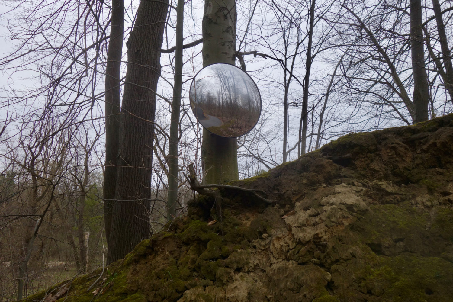 Round mirror on Hoffman Road before the wind storm
