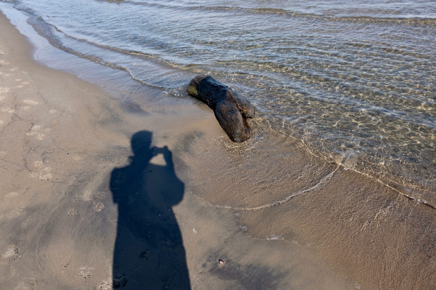 Burnt driftwood and my shadow on Durand Eastman beach