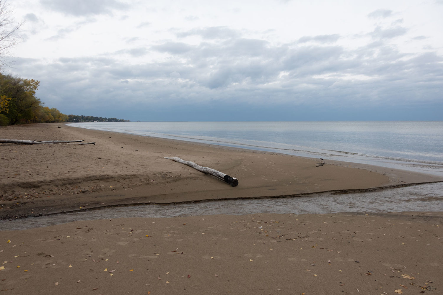 Log on beach near Eastman Lake Outlet